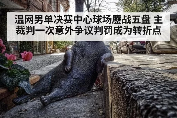 温网男单决赛中心球场鏖战五盘 主裁判一次意外争议判罚成为转折点
